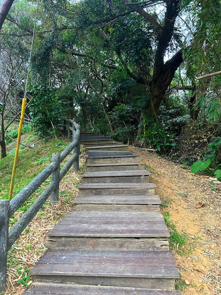 楓樹坑步道自然景觀
