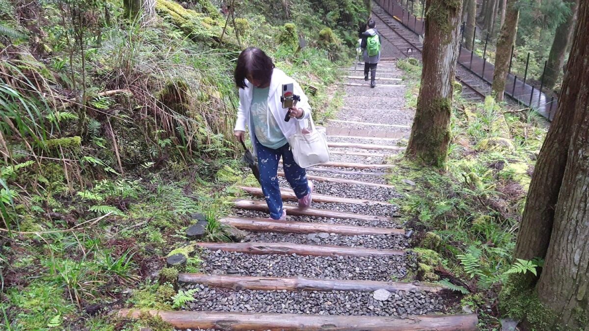 太平山影片介紹縮圖