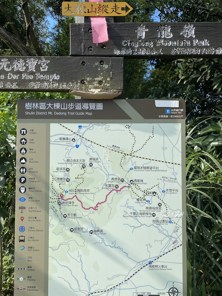 大棟山登山步道林蔭
