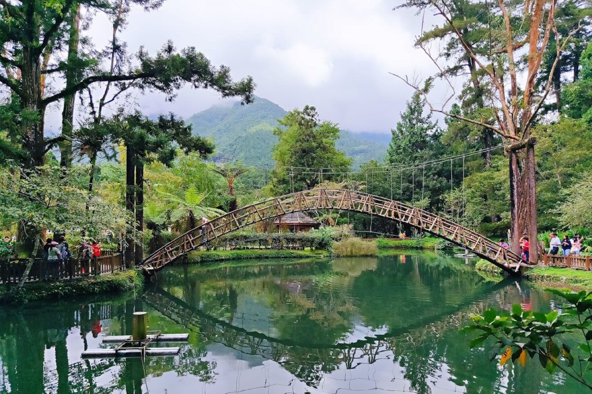 溪頭自然教育園區