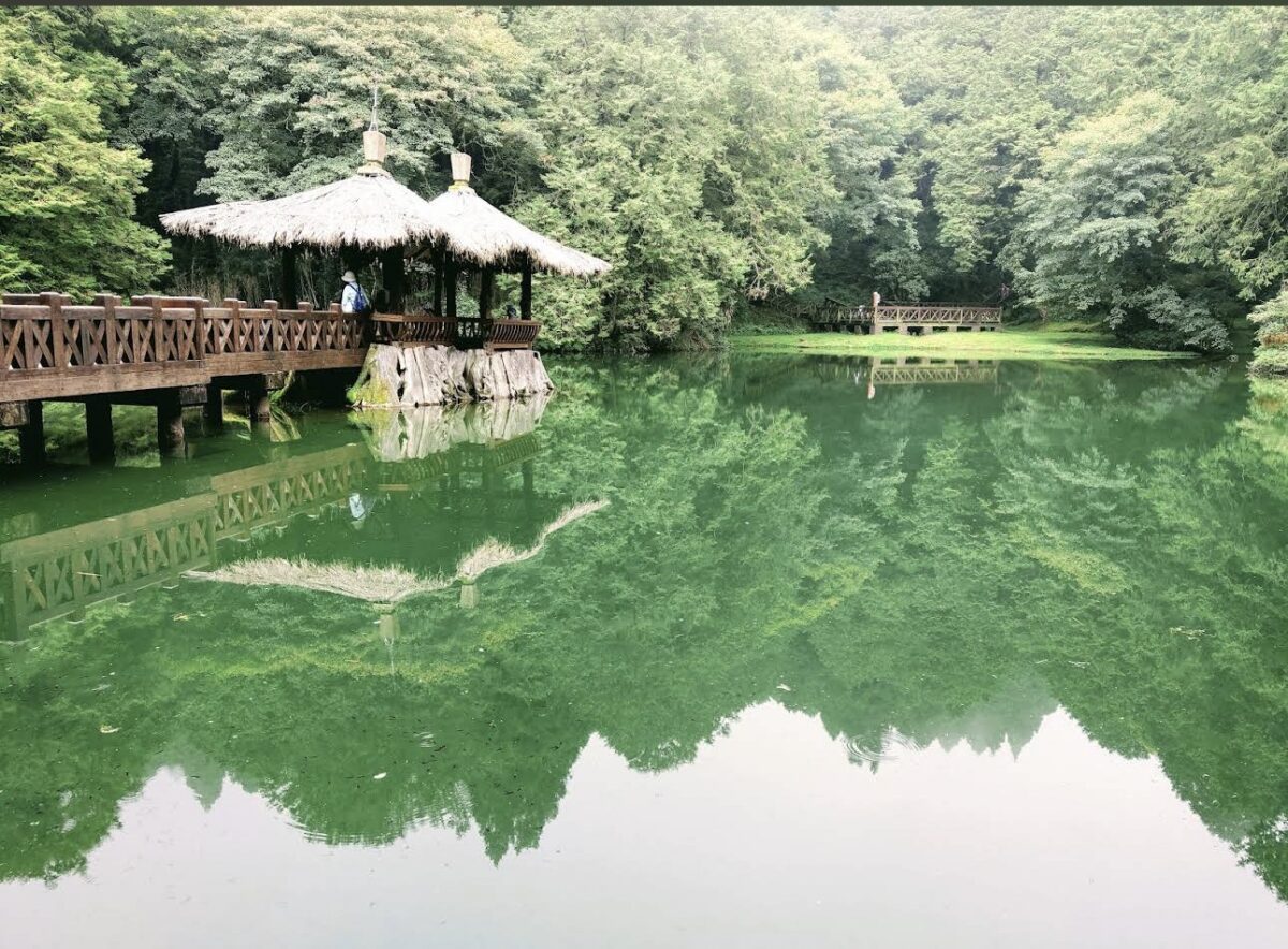 阿里山國家森林遊樂區壯麗山景