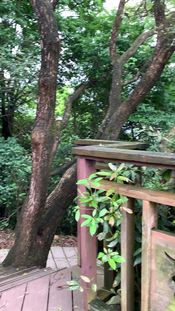 羊稠步道高鐵觀景點