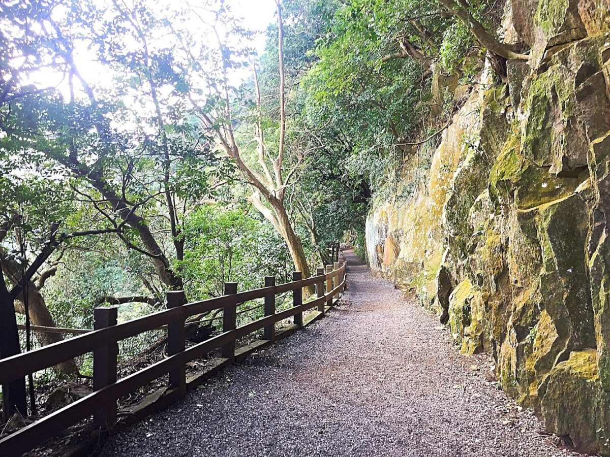 天母古道