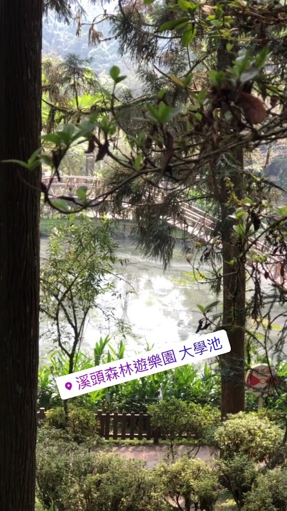 溪頭園區內的動態影像紀錄