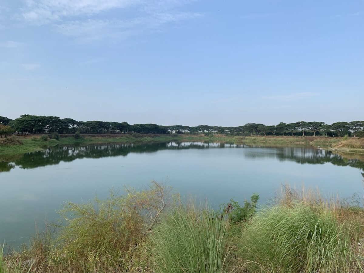 紫藤湖湖景