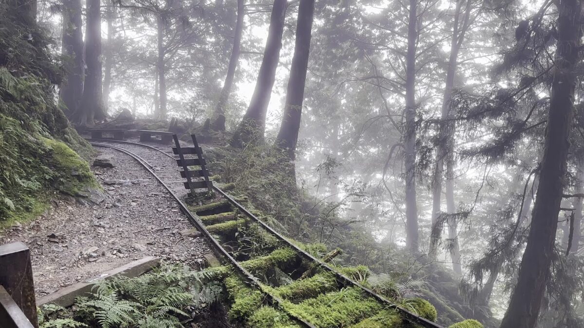 見晴懷古步道霧中景色
