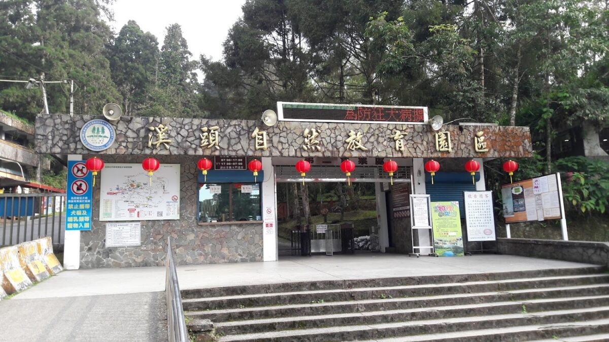 溪頭售票處周邊綠意盎然的景觀