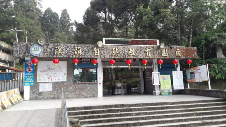 溪頭門票｜溪頭門票 2026 攻略：避開人潮由第二售票處入園，直通神木步道享受芬多精