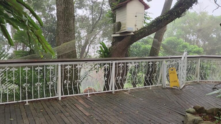 關子嶺溫泉不住宿｜2026 關子嶺溫泉不住宿泡湯推薦：精選 6 間泥漿溫泉湯屋與大眾池地圖