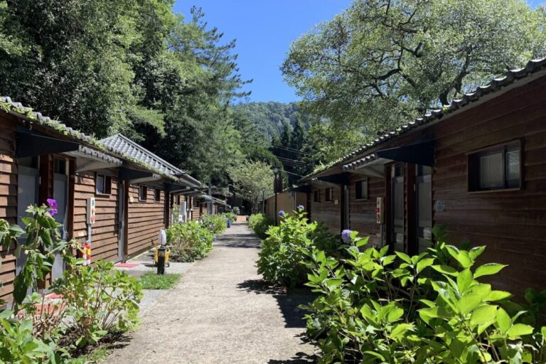 觀霧山莊｜觀霧山莊 2026 旅遊懶人包：探訪聖稜線美景、霧社櫻王與高山步道