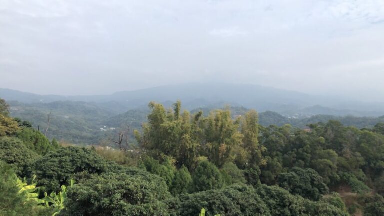 台中爬山｜台中爬山首選！2026 必去 6 條超人氣登山步道攻略：從新手健行到高難度挑戰