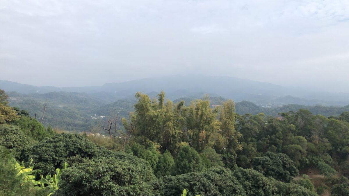 台中爬山｜台中爬山首選！2026 必去 6 條超人氣登山步道攻略：從新手健行到高難度挑戰