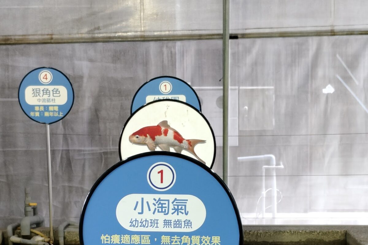 重口味溫泉魚