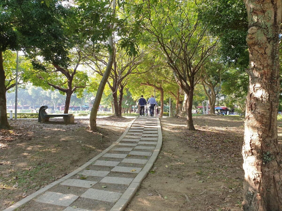 古坑綠色隧道美景
