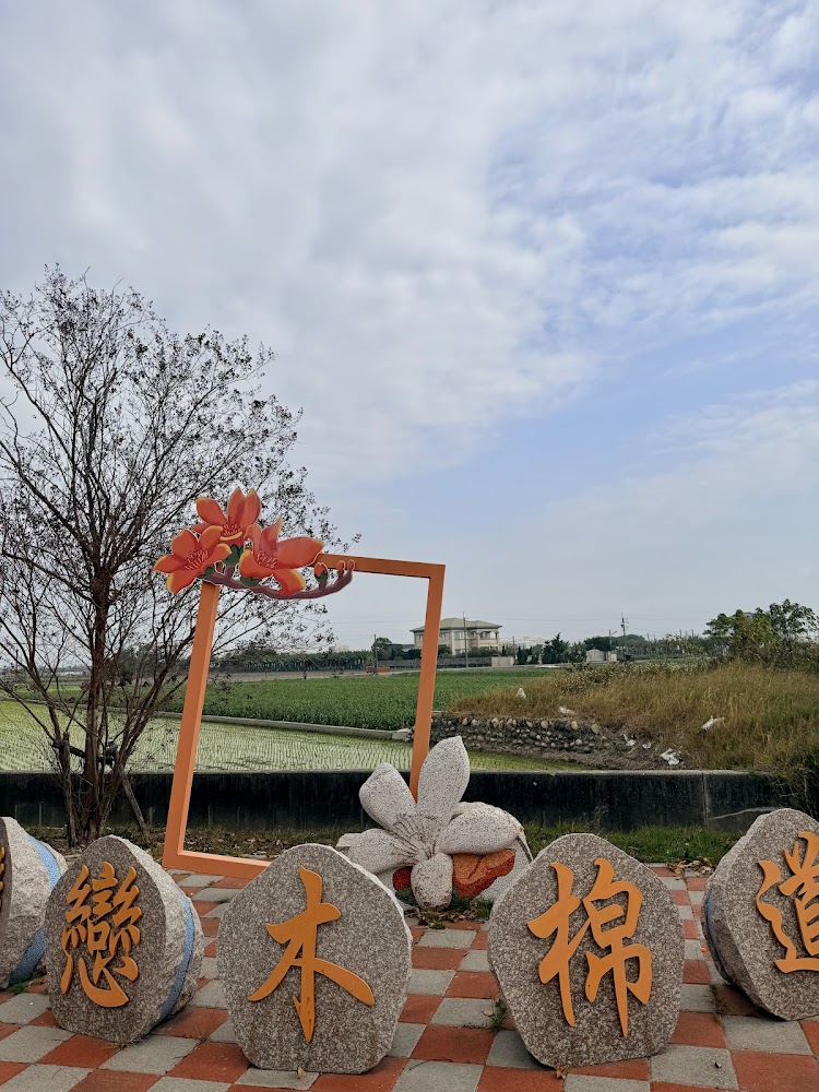 虎尾145縣道木棉花