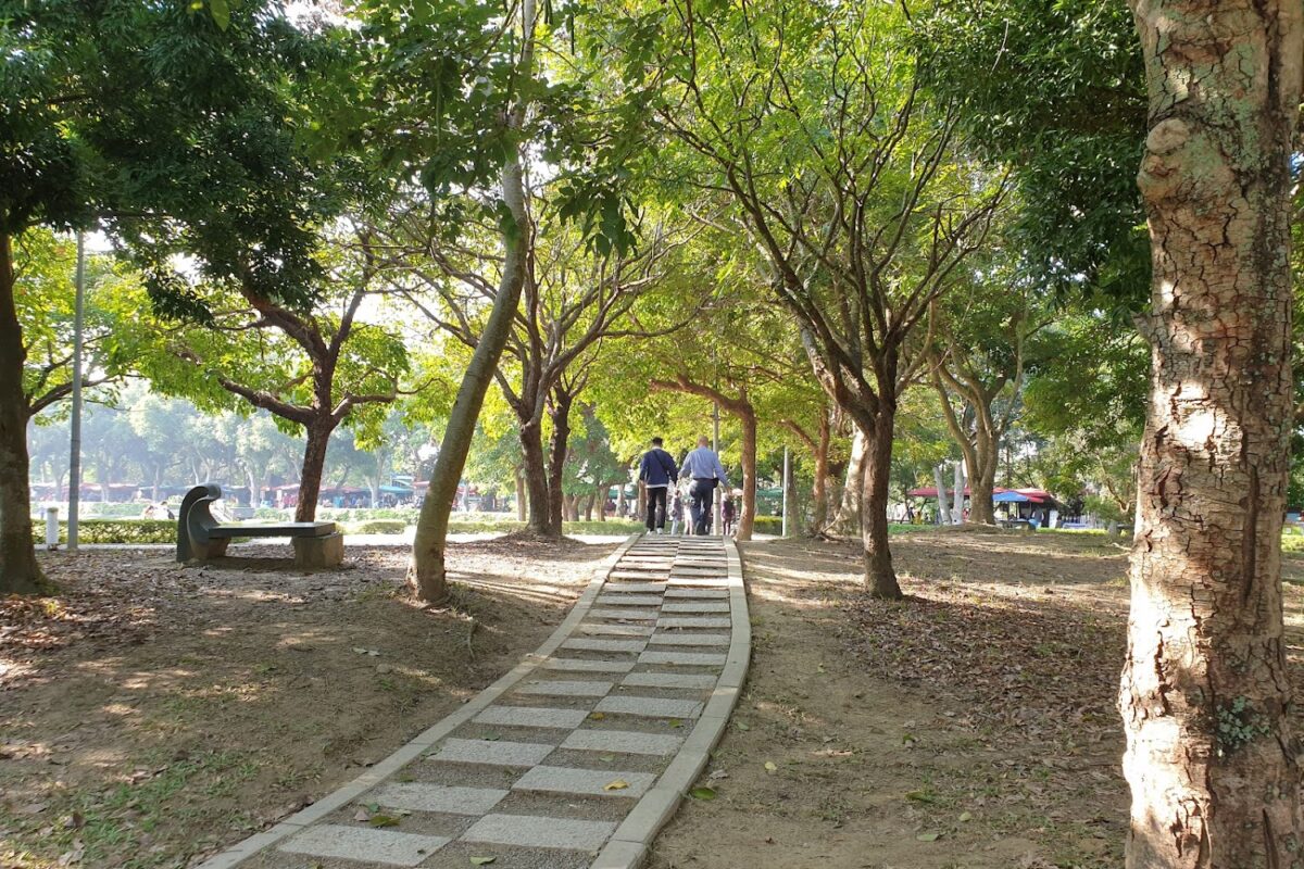 古坑景點｜2026古坑景點懶人包：走訪華山情人橋與綠色隧道，享受雲林慢活一日遊攻略