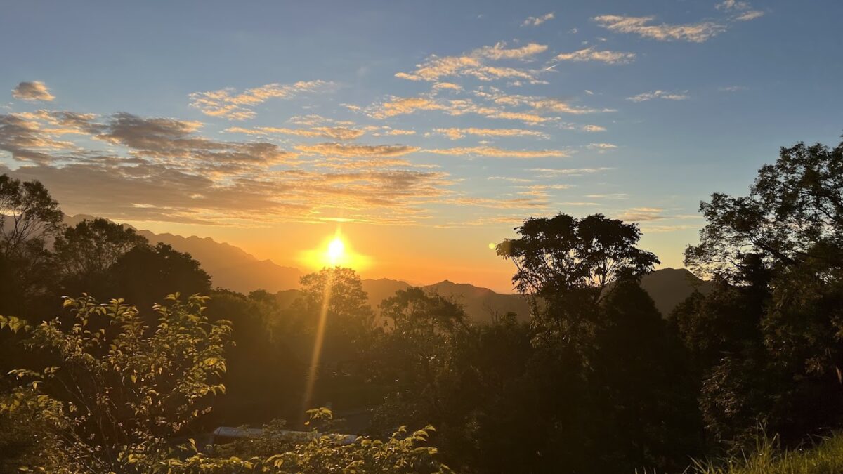東眼山｜東眼山深度旅遊：2026 桃園復興必訪森林步道與避暑芬多精全攻略